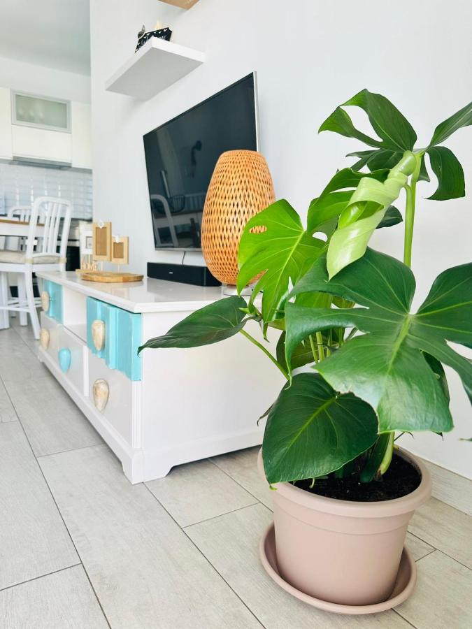 Casa Adelfa Apartment Пуерто дел Кармен Екстериор снимка